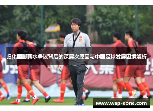 归化国脚薪水争议背后的深层次原因与中国足球发展困境解析