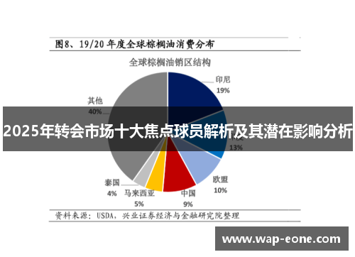 2025年转会市场十大焦点球员解析及其潜在影响分析