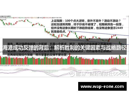 海港成功反弹的背后：解析胜利的关键因素与战略路径