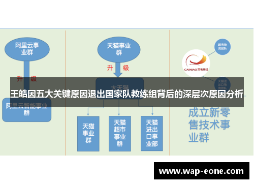 王皓因五大关键原因退出国家队教练组背后的深层次原因分析