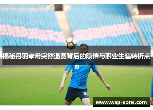 揭秘丹羽孝希突然退赛背后的隐情与职业生涯转折点
