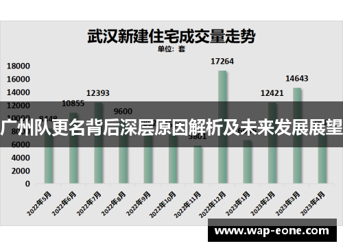 广州队更名背后深层原因解析及未来发展展望
