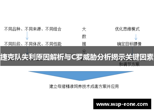 捷克队失利原因解析与C罗威胁分析揭示关键因素