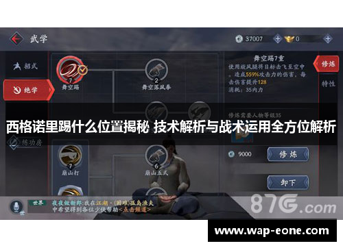 西格诺里踢什么位置揭秘 技术解析与战术运用全方位解析